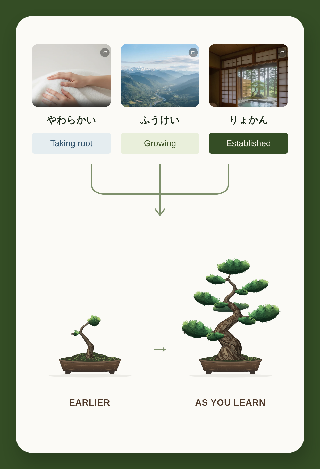 Words at different learning stages connect to an earlier small bonsai and a larger bonsai as learning progresses