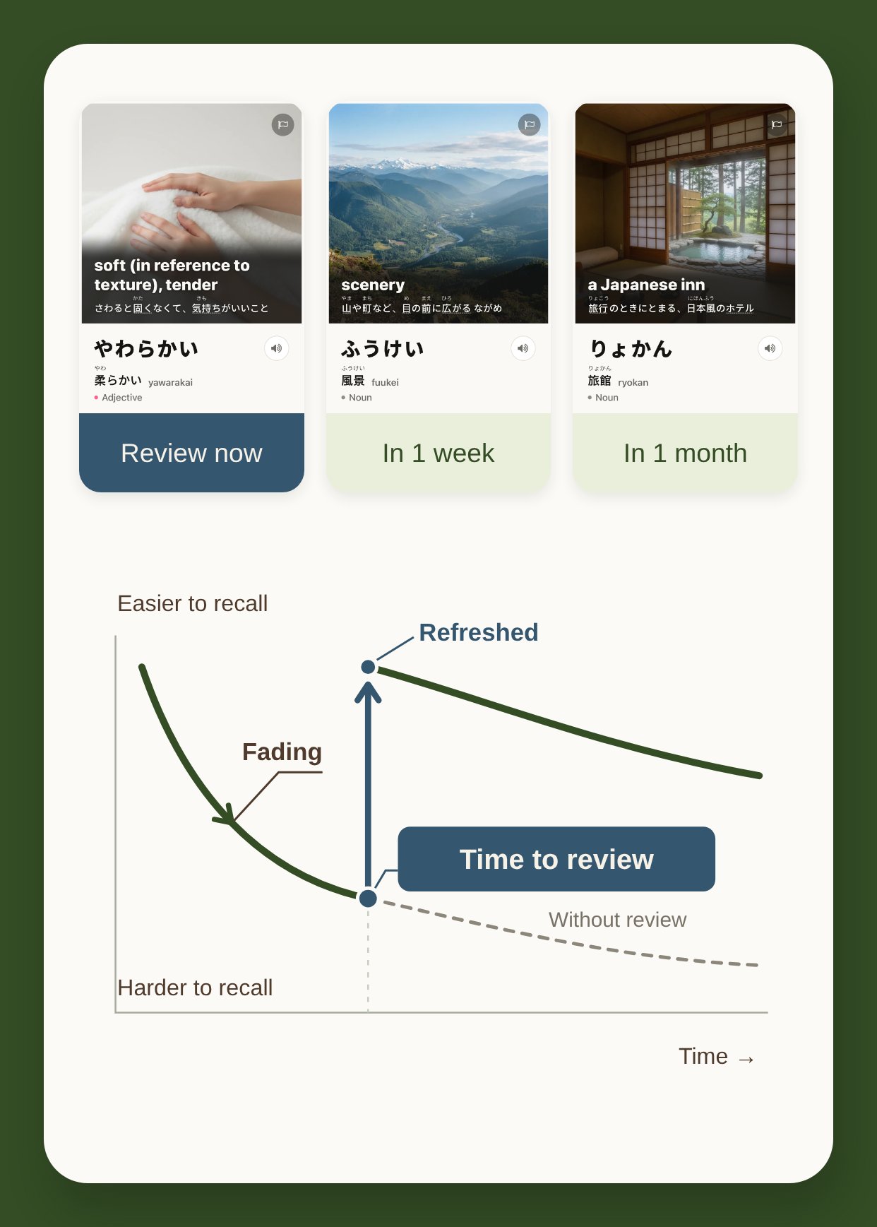 Three word cards with different review times and a memory curve showing fading recall refreshed by a review