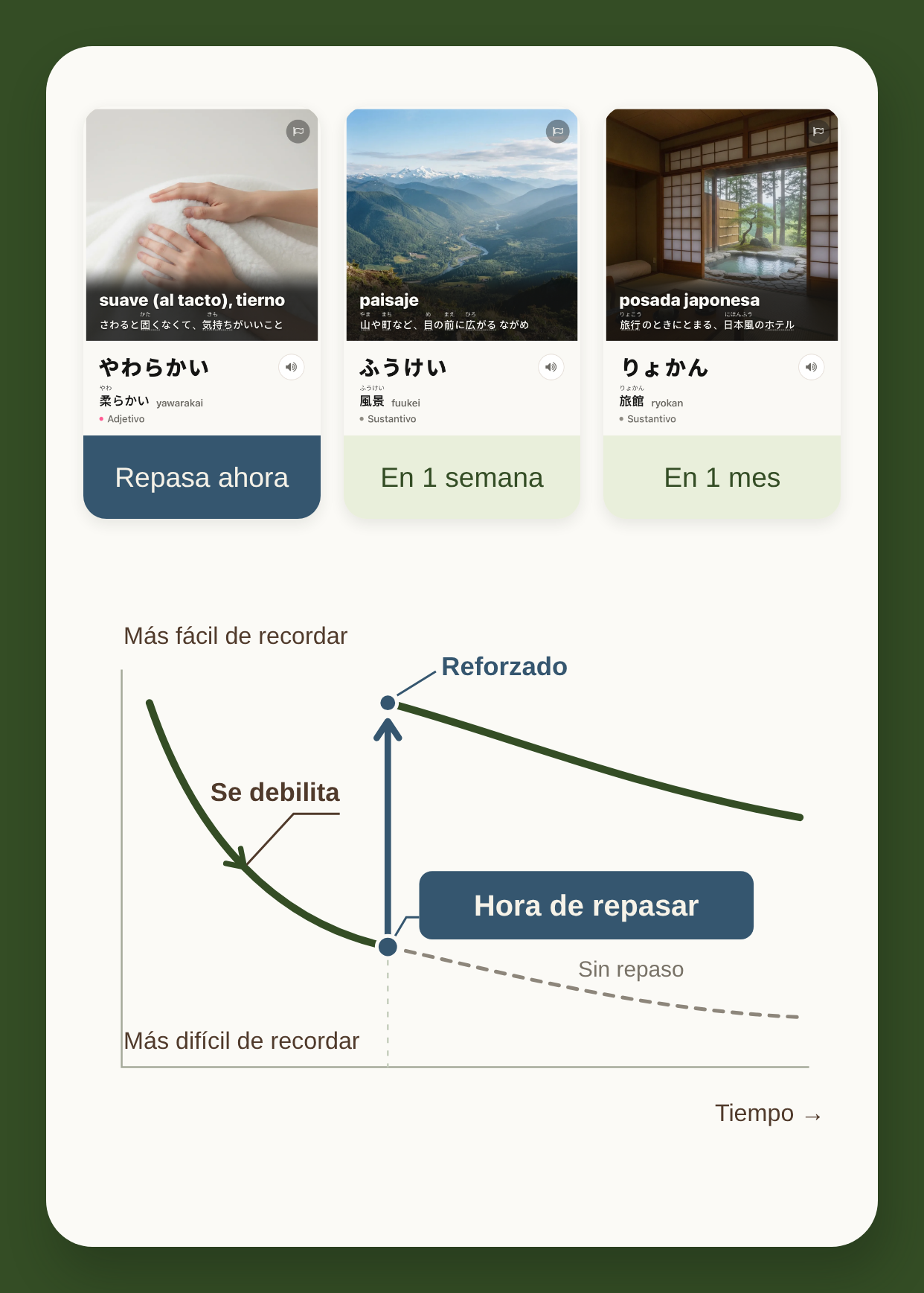 Tres tarjetas de palabras con distintos momentos de repaso y una curva de memoria: el recuerdo se debilita y un repaso lo refuerza