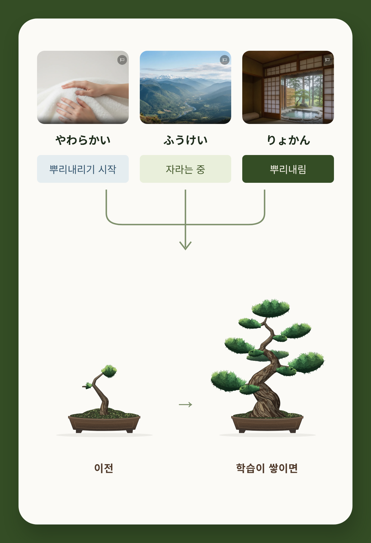 학습 단계가 다른 단어들이 작은 분재와, 학습이 진행된 뒤의 더 큰 분재로 이어지는 그림