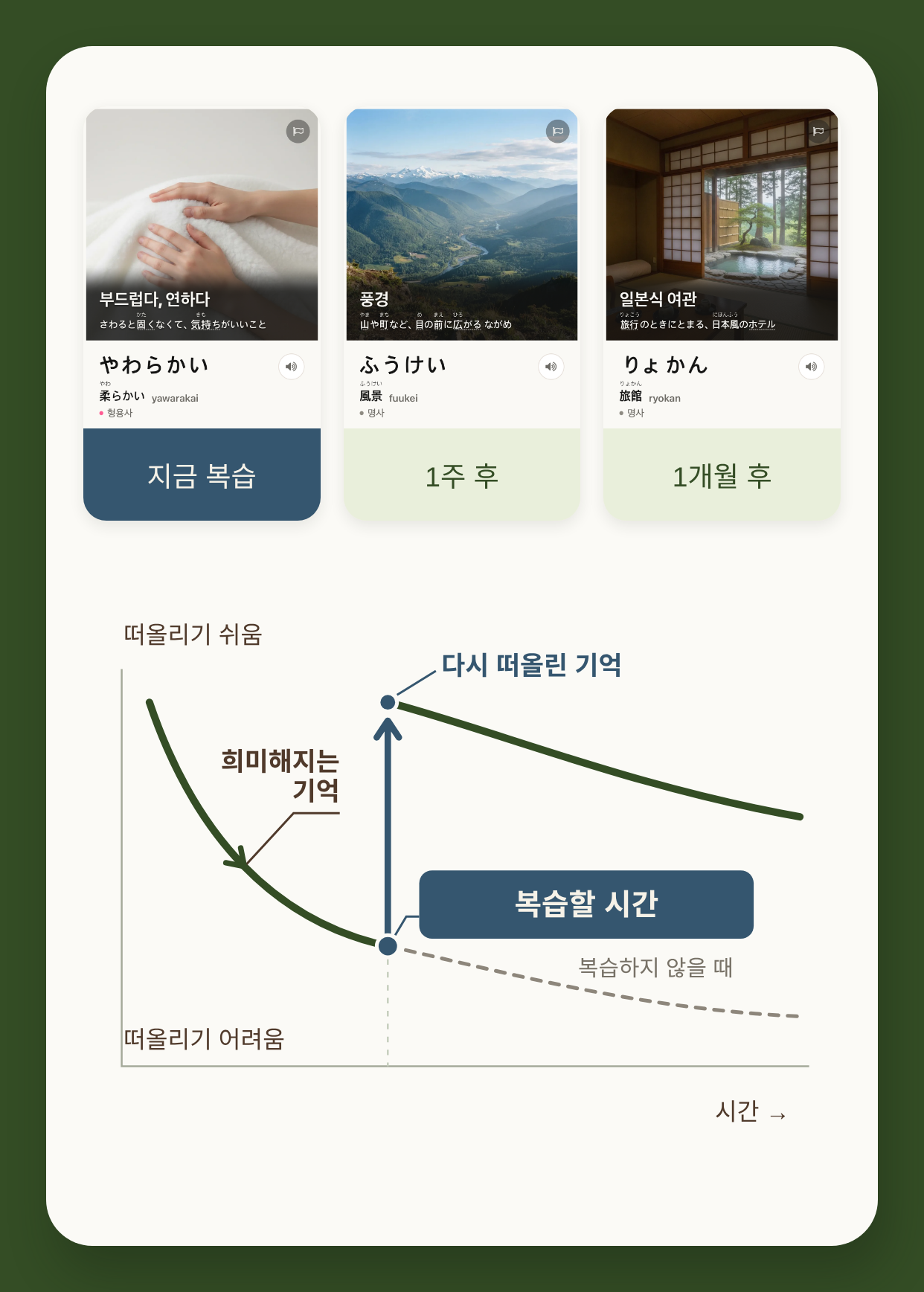 복습 시점이 서로 다른 단어 카드 세 장과, 희미해지던 기억이 복습으로 다시 살아나는 기억 곡선